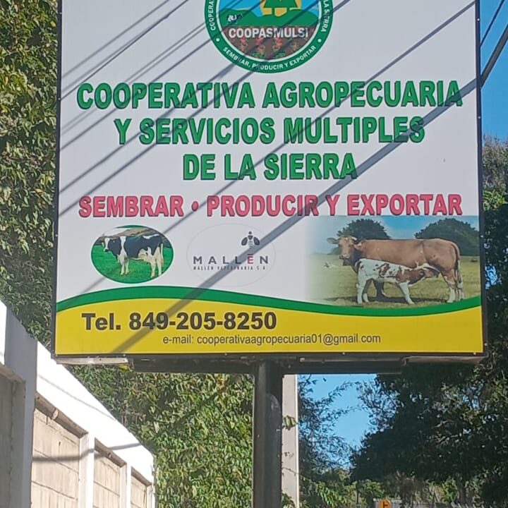 ORIENTACION COMUNITARIA